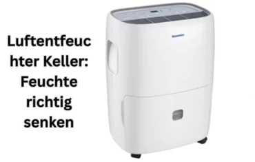 Luftentfeuchter Keller: Feuchte richtig senken