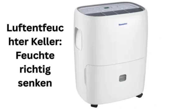 Luftentfeuchter Keller: Feuchte richtig senken