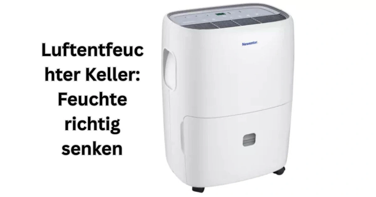 Luftentfeuchter Keller: Feuchte richtig senken